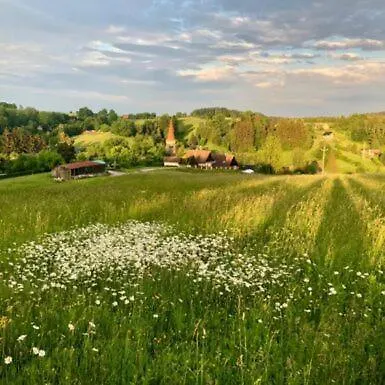 Výhled Do Krkonošské Krajiny Vila