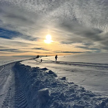 Výhled Do Krkonošské Krajiny *